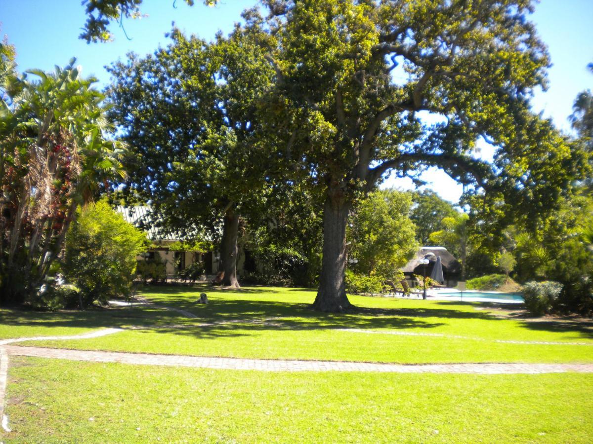 The Country Alojamento de Acomodação e Pequeno-almoço Stellenbosch